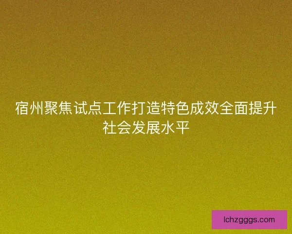 宿州聚焦试点工作打造特色成效全面提升社会发展水平